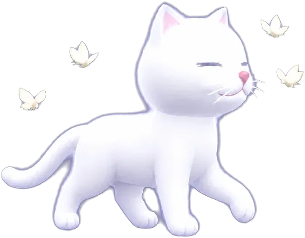 walking with moths