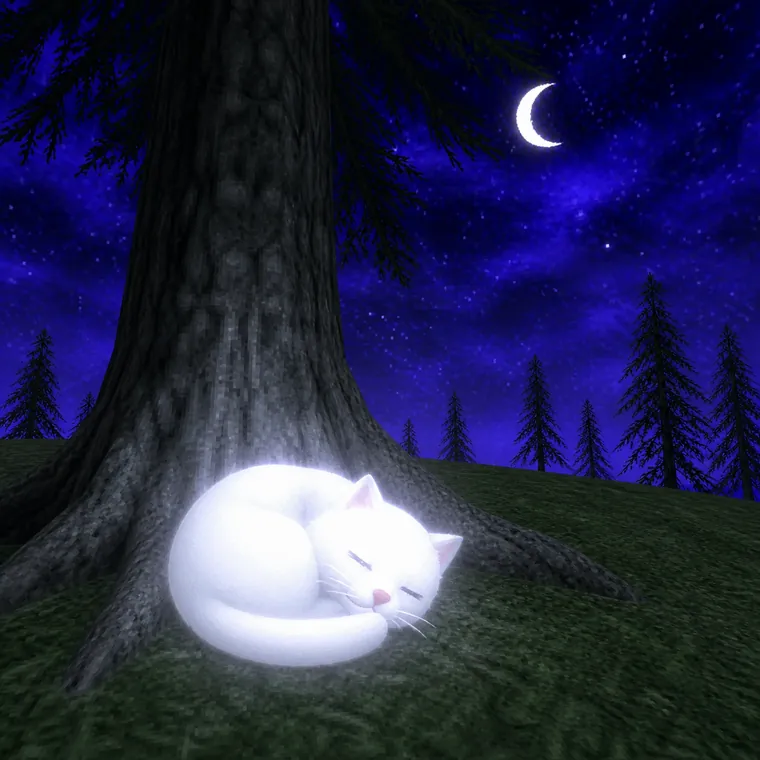 asleep under a pine